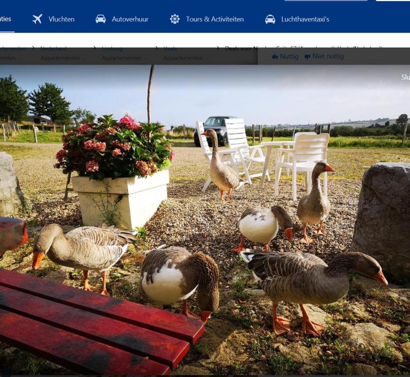 Nicolaye Suite 57 room 3